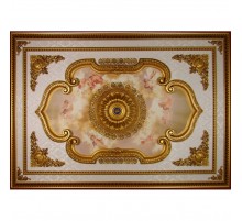 Потолочный цветной купол BRD1420-F023 в Новосибирске