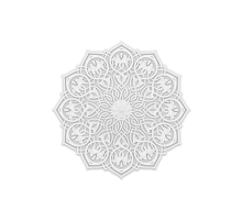 розетка 1.56.502 в Новосибирске