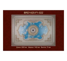 Потолочный цветной купол BRD1420-F1-022