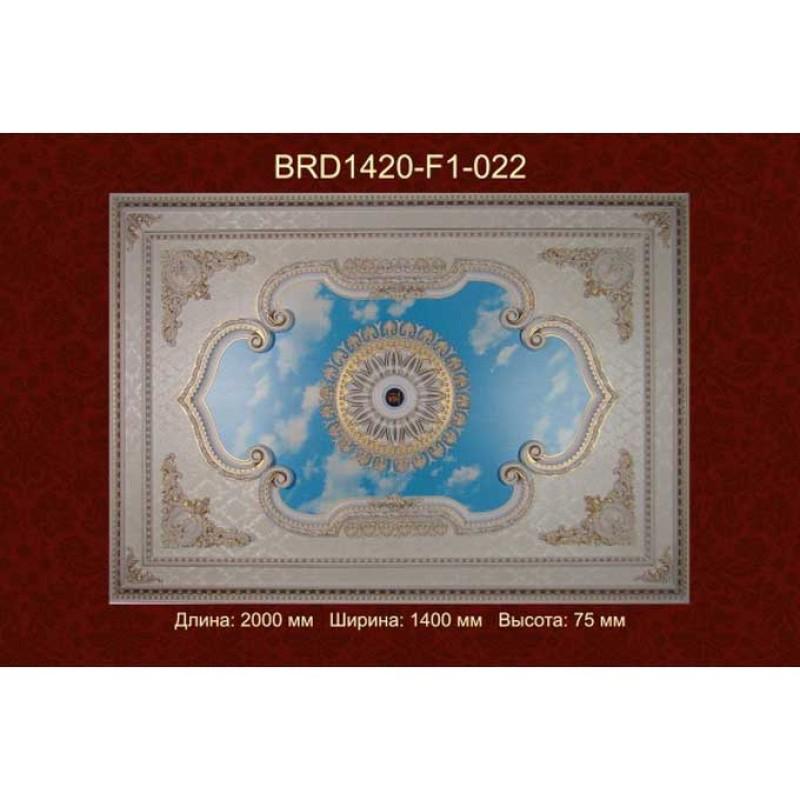 Потолочный цветной купол BRD1420-F1-022