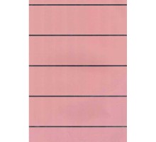 CH 6605/1 Панель пластиковая 250 мм