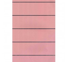 CH 6605/1 Панель пластиковая 250 мм в Новосибирске