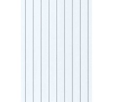 CH 6501 Панель пластиковая 250 мм