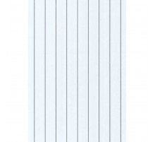 CH 6501 Панель пластиковая 250 мм в Новосибирске