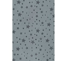 CH 37 Панель пластиковая 250 мм