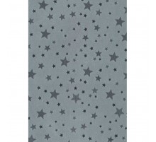 CH 37 Панель пластиковая 250 мм в Новосибирске