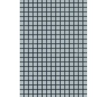 CH 15 Панель пластиковая 250 мм