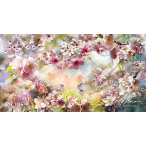 Панорама PR105 в Новосибирске