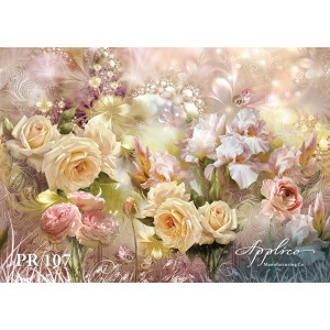 Панорама PR107 в Новосибирске