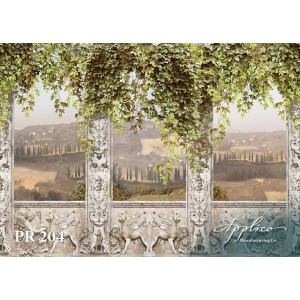 Панорама PR204 в Новосибирске