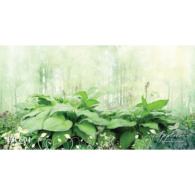 Панорама PR601