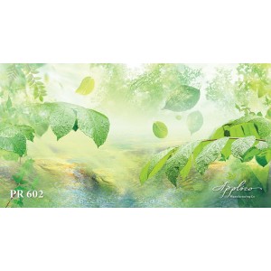 Панорама PR602 в Новосибирске