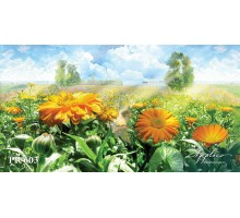 Панорама PR603