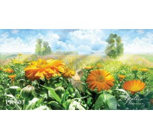 Панорама PR603 в Новосибирске