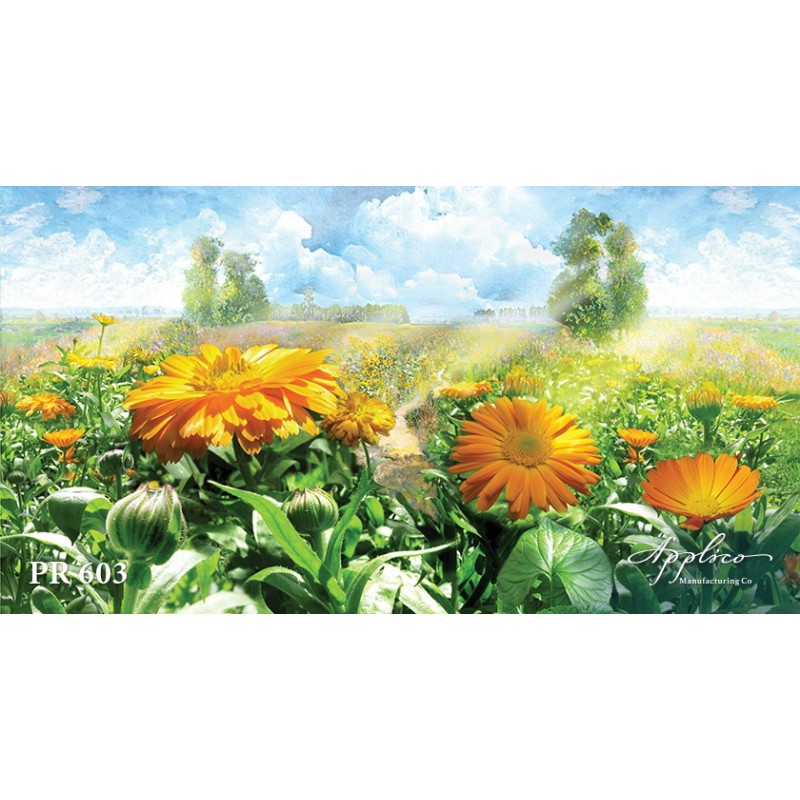 Панорама PR603