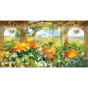 Панорама PR607 в Новосибирске