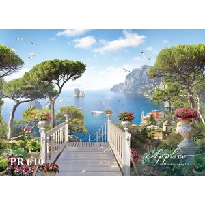 Панорама PR610 в Новосибирске