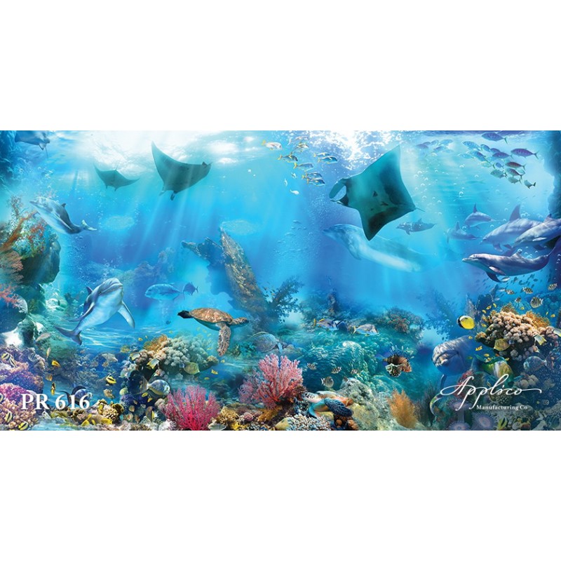 Панорама PR616