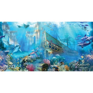 Панорама PR723 в Новосибирске