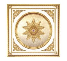 Панно потолочное BRA18*18-S-076 в Новосибирске