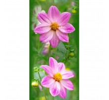 Космея Панель ПВХ в Новосибирске