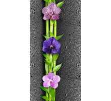 Орхидея 1 Панель ПВХ