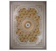 Цветной купол BRD1420F1001 в Новосибирске