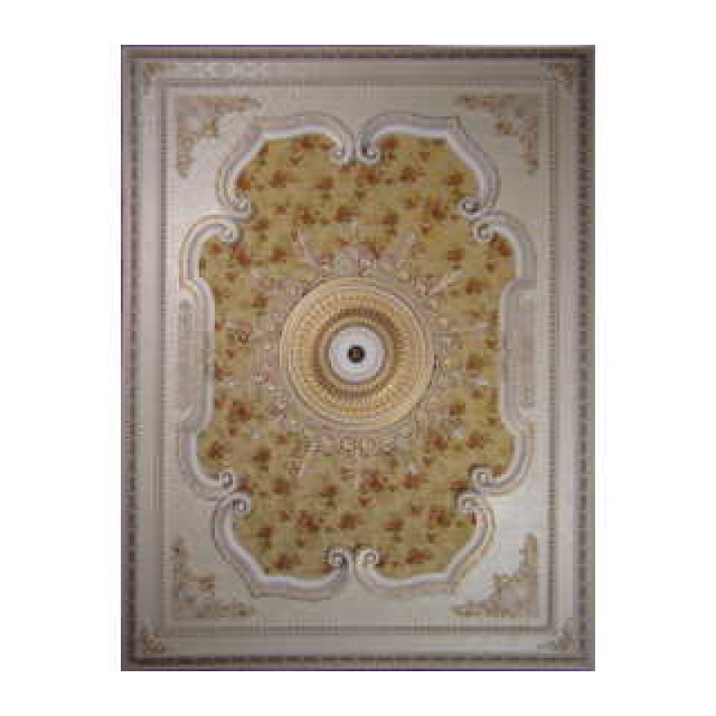 Цветной купол BRD1420F1001