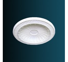 Купол B2007 в Новосибирске