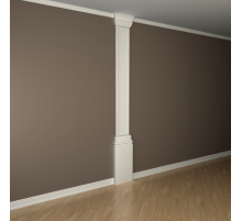 Пилястра в сборе 1.20.101 в Новосибирске