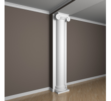 Полуколонна 4.10.205 в Новосибирске