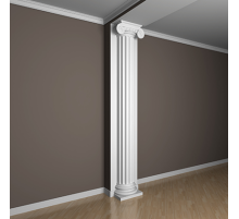 Полуколонна 4.10.206 в Новосибирске