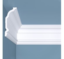 Карниз К21 120-50 в Новосибирске