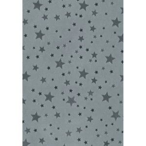 CH 37 Панель пластиковая 250 мм