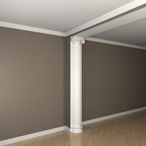 Полуколонна 1.10.210-дм.250мм