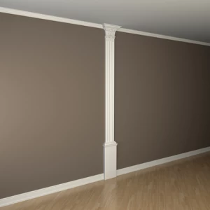 Пилястра в сборе 1.20.001